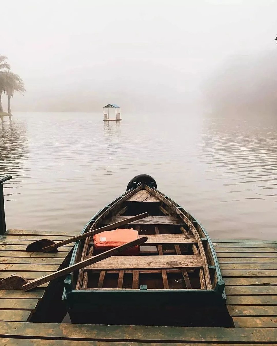 Good Morning Magoroto Forest, Muheza Tanga 🇹🇿