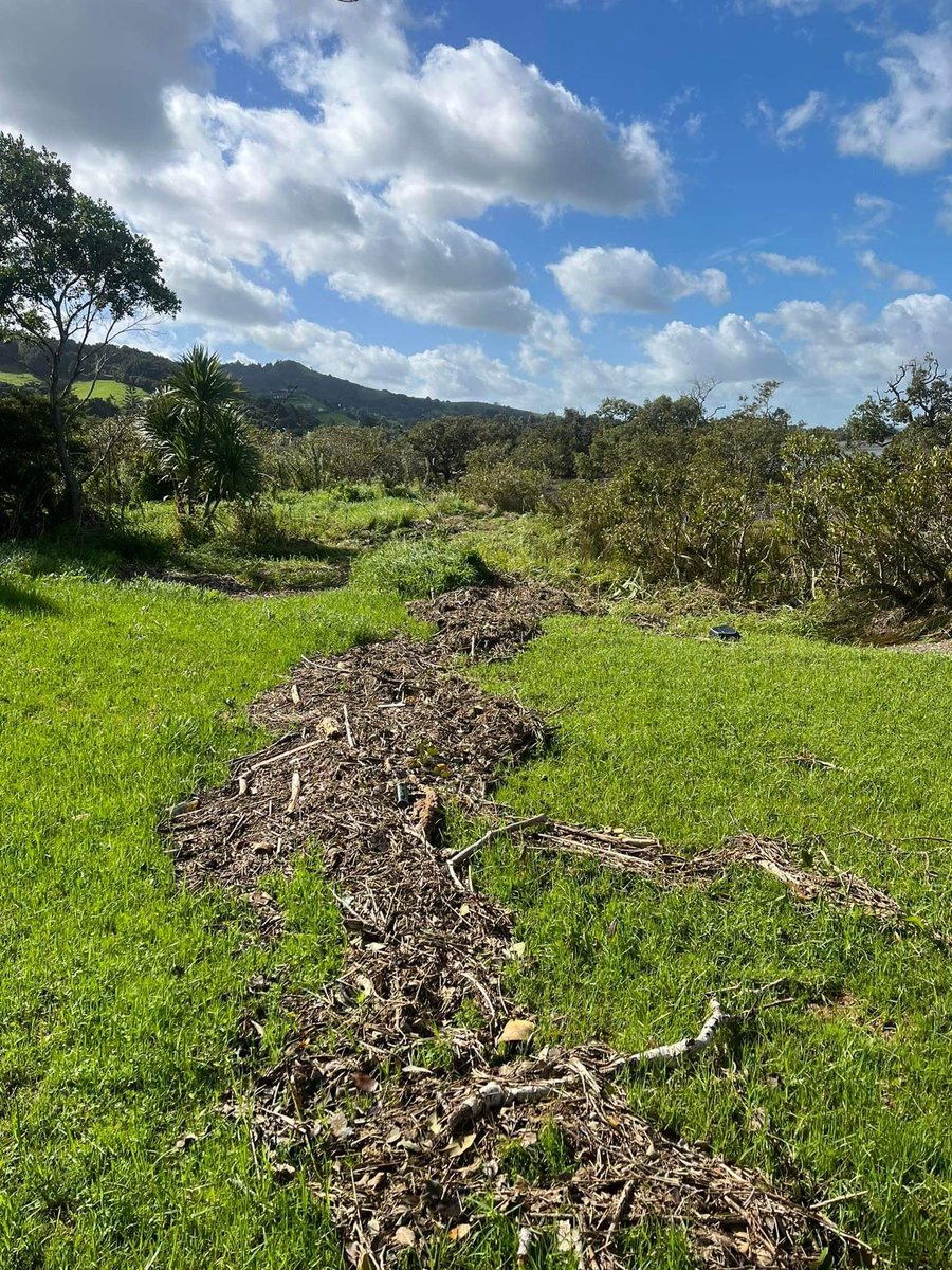 DLorrey's tweet photo. Please consider uploading photos of floods for Aotearoa NZ here: https://t.co/WgWui9fTlb or the @niwa_nz citsci app. This evidence will really help future flood modelling - Inundation, impacts to infrastructure and indicators of water extent are all welcome  📸👇@TMartinEcology https://t.co/Lx6hR2t6ET