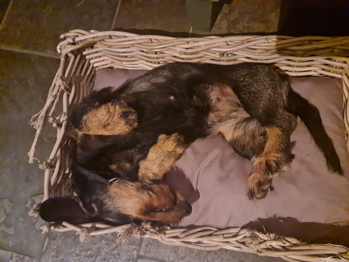 Bart Brom tweet media