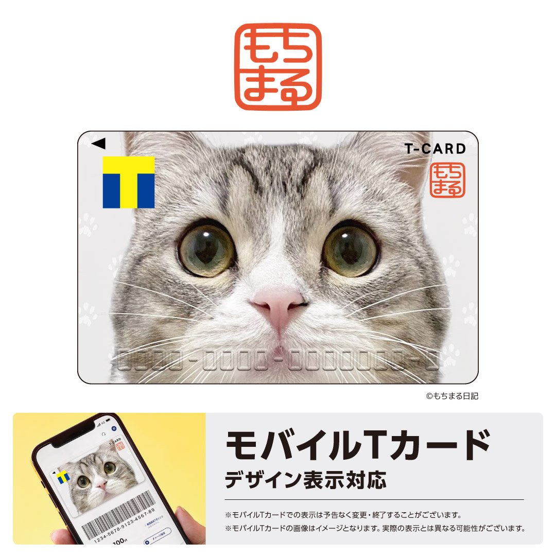 もちまる日記　もち様　アクリルスタンド　カードスタンド　202307052333 アクスタ付きカードスタンド もちまる日記 – FAN+Life