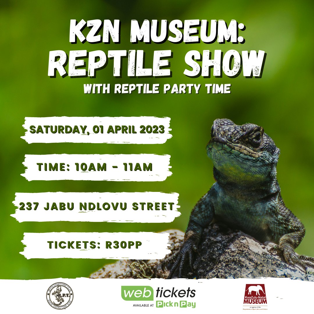 KwaZulu-Natal Museum tweet media