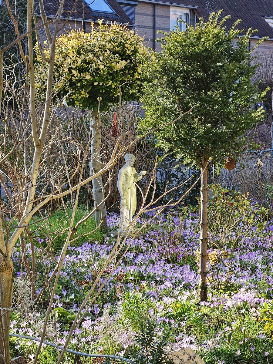 Goedemorgen iedereen. Dit is de tuin van mijn buurman, mooi he?
Mijn tuin is nog in aanleg, dus nog weinig kleur nu. Gelukkig is dit mijn uitzicht door zijraam.
#lente #voorjaar #spring #gardening #gardenersworld #NaturePhotography #nature #natuurfotografie