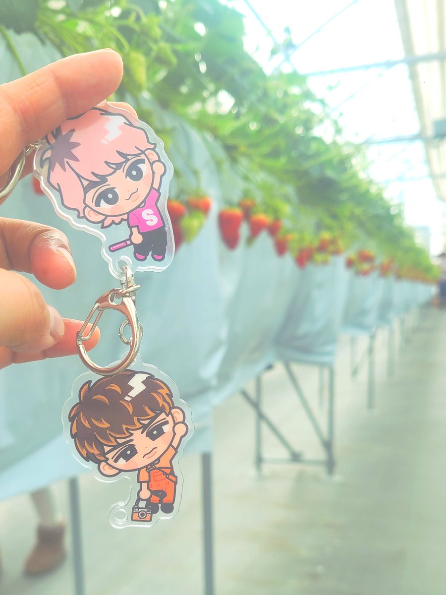 すのチルとおでかけ