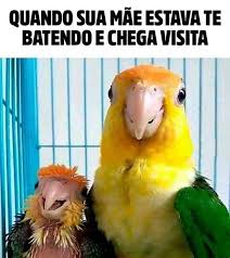 memes (@memes91660890) on Twitter photo 