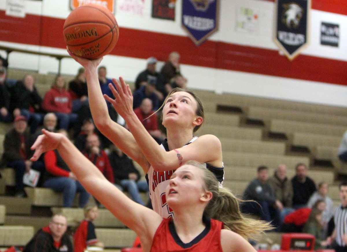 Brandon Berg tweet media