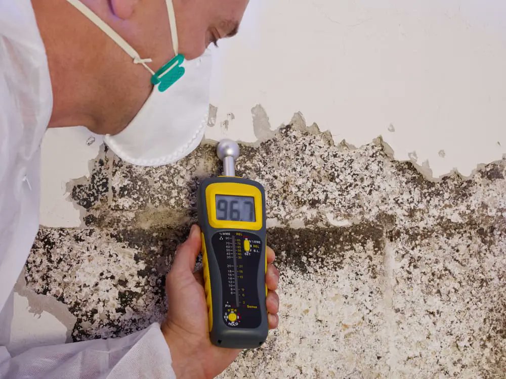 MIlosangeles's tweet photo. Mold can be a serious health hazard for your family and home. Get your home inspected for #mold today and protect your family from potential health risks.

Call us today to schedule your mold inspection and keep your home safe and healthy! https://t.co/rQEwuHjlRm #MoldInspection https://t.co/vlk35GuNYJ
