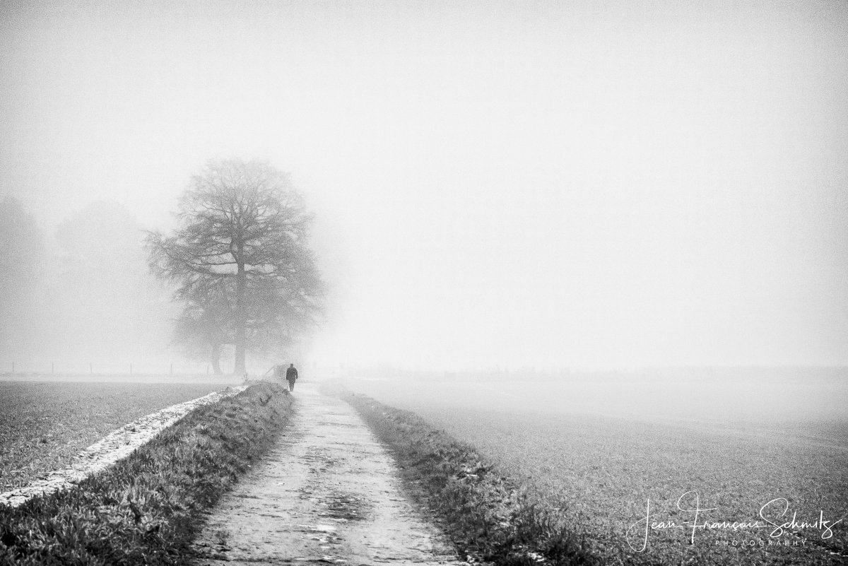 Misty morning, January 2023 #mist #fog #photography #foggy #misty #tree #morning #photooftheday #mistymorning #winter #blackandwhite #bnw #blackandwhitephotography #bw #monochrome #bnwphotography #photo #photographer #fineartphotography #fineart #art #fineartphoto