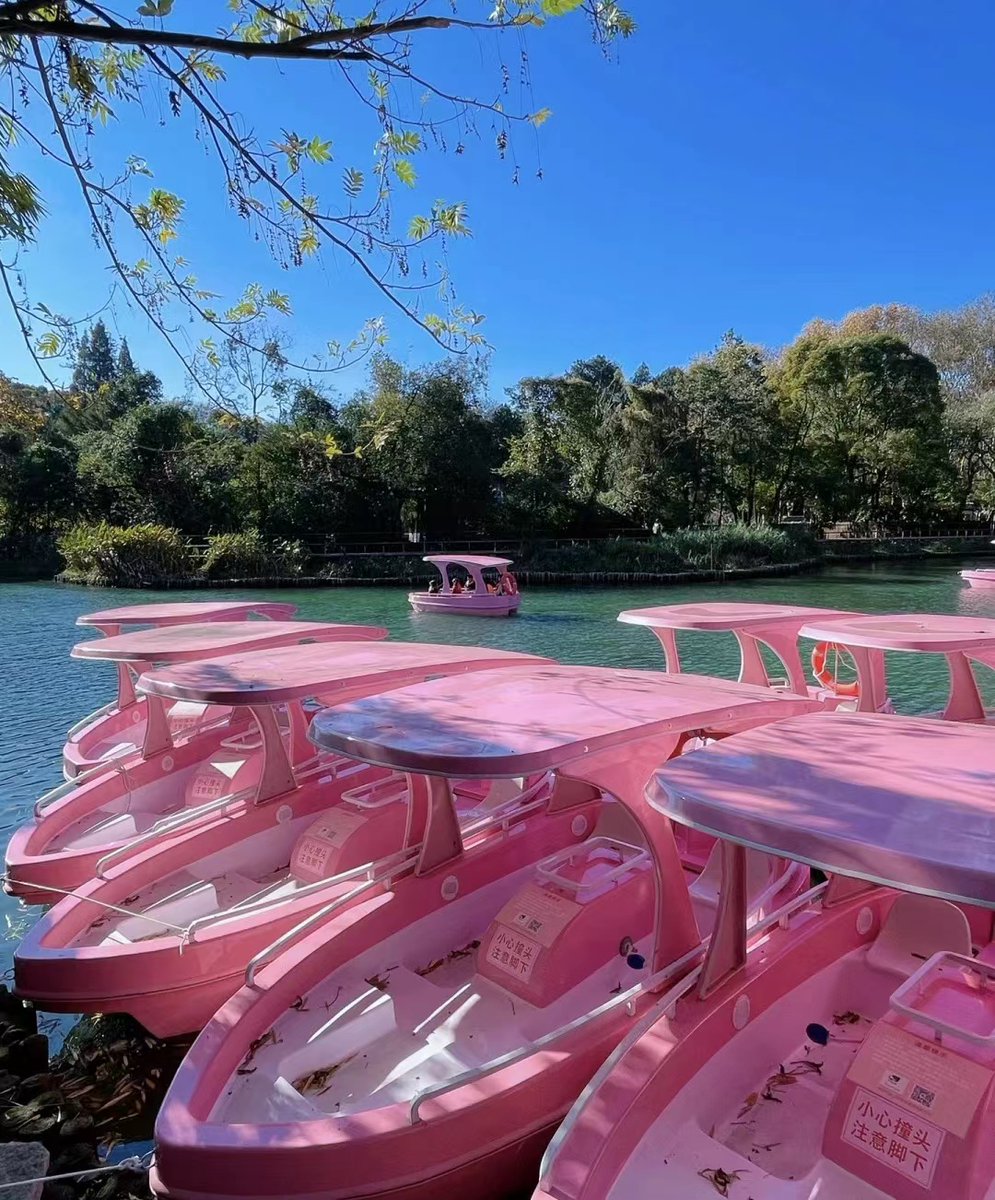 DiscoverGuizhou's tweet photo. #Spring is here! In Huaxi Park, #Guiyang, small-sized #Pinkboats are well-organized and lined up by the lake. People go boating, play with water, and have a picnic. The afterglow of the setting sun reflects the laughter everywhere. How do you pass time in spring? #lifestyle https://t.co/13FJY2F86h