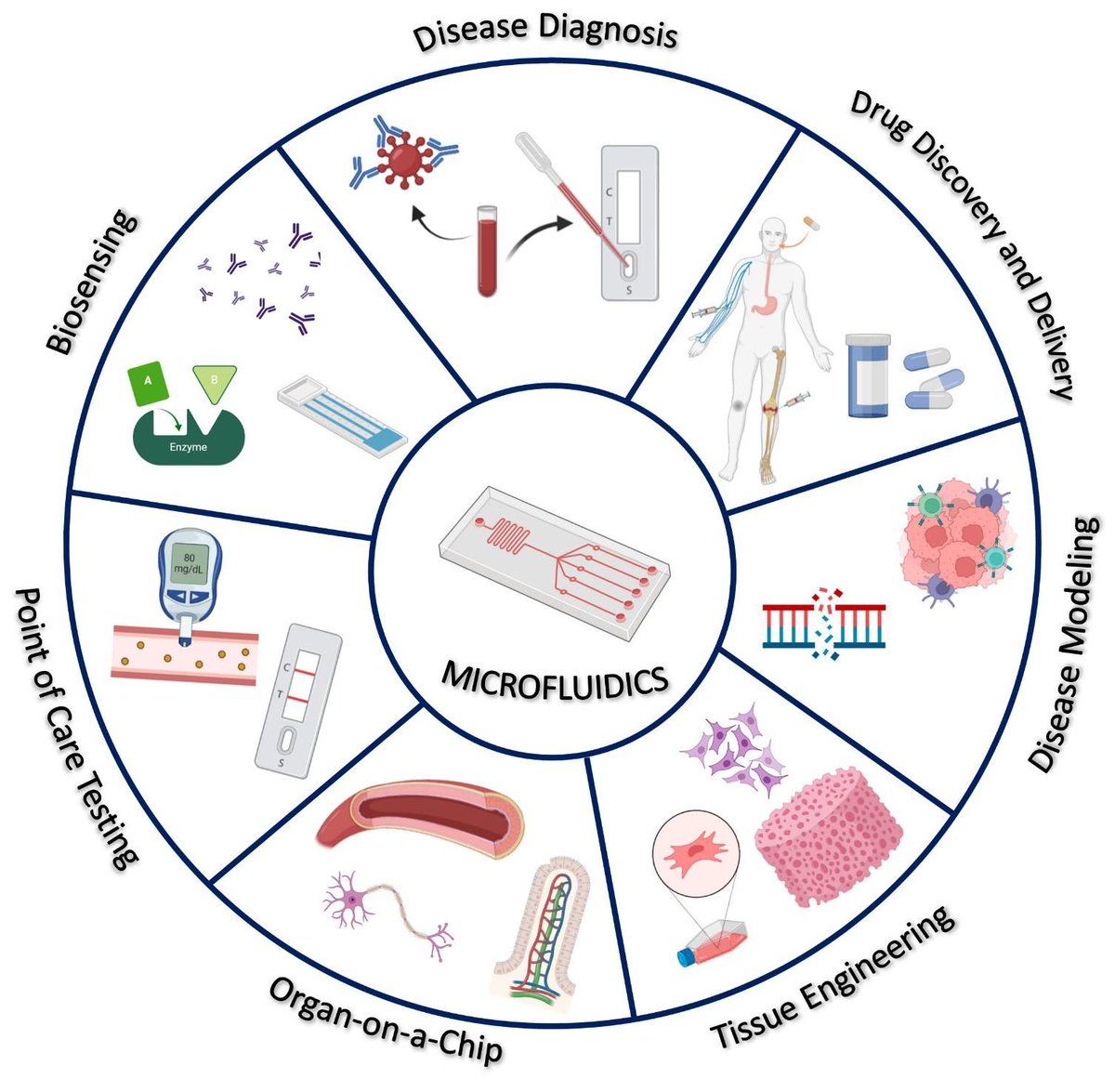 JRegenBiolMed's tweet image. The micro/nanofluidic technique has become an important tool for singlecell analysis with the capability to integrate time-consuming &amp;amp; labour-intensive experimental procedures into a small device.
#microfluidics #biosensing #drugdiscovery 
#tissueengineering #regenerativemedicine