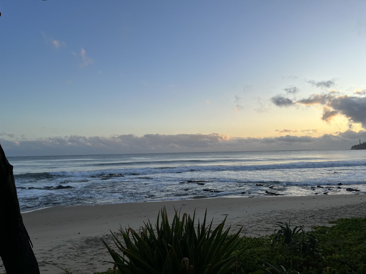 NicoliLab's tweet photo. Great early morning walks, awesome science by day, and karaoke with @BagnatLab at night, @ANZebrafish was the perfect meeting! Thanks to organizers and trainees for sharing their amazing research and energy!  👏🏻👏🏻👏🏻🐟🐟🐟 https://t.co/5zEJiSwPQF