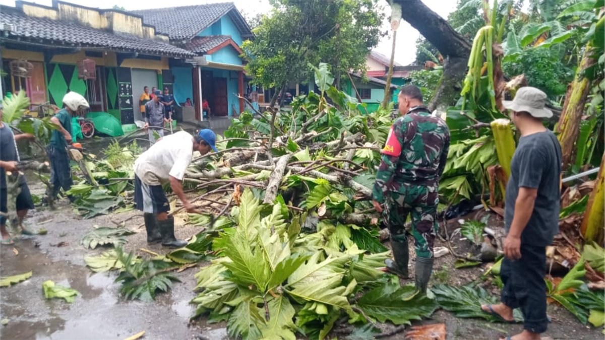 Selasa malam (14/2/2023) Pohon kluweh di Karangmojo RT 01 dan melinjo di Gempolan Wetan tumbang akibat hujan dan angin kencang. Berdasarkan informasi warga, FPRB Kalurahan Trirenggo ke lokasi kejadian untuk melakukan penanganan dan pengkondisian.