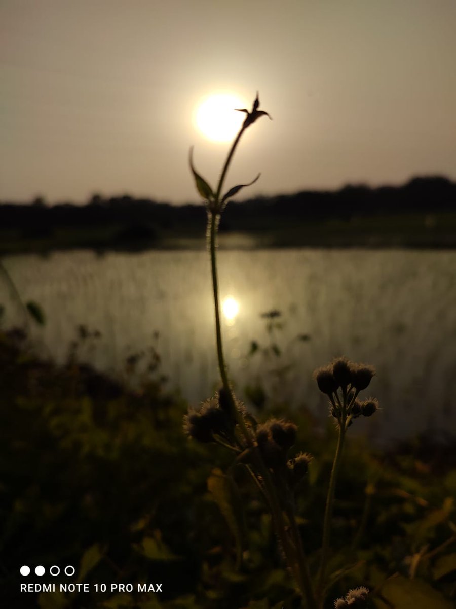 SristiSheba (@shebasristi) on Twitter photo 