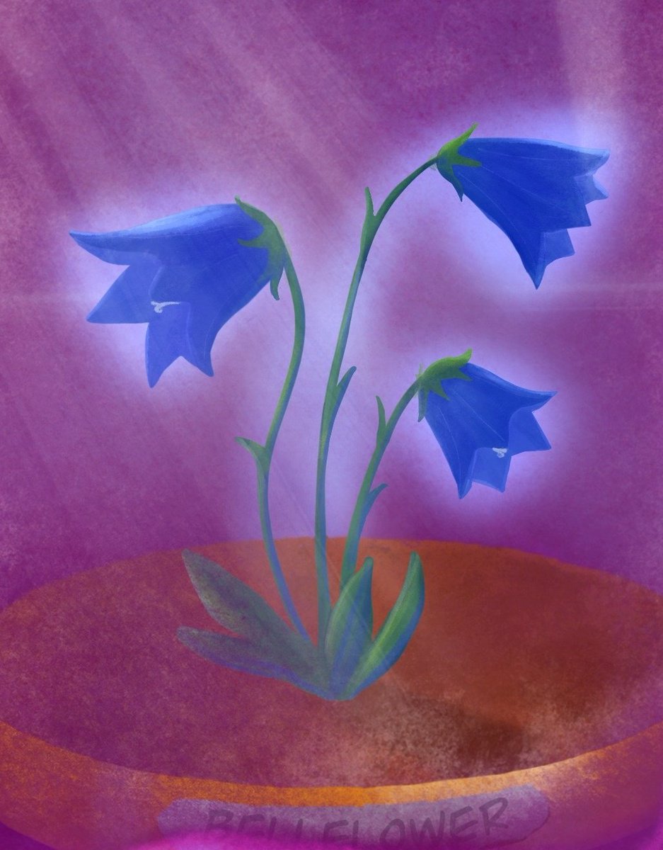 Good morning world☺
Have a wonderful day😊
Today new drop with new flower soul ☺