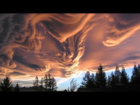 iammikeythepoet's tweet photo. not my reflection
an older me
spring will aid,heal
these inadequate seasons
 
words whisper solace
quell the thoughts
as once you did

the hummingbirds bliss
she lingers less at night

happiness is all you need
no comfort watching karma bleed

though alone is a difficult blessing https://t.co/jMgUNaFG3R