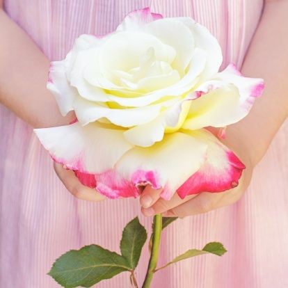 Lea_Pictures's tweet image. #Flowers