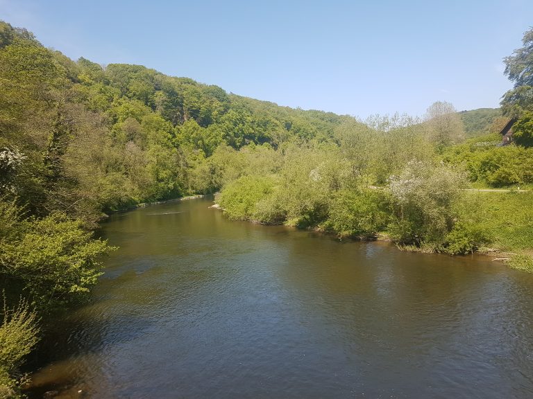 RJonTourUK's tweet image. The Forest of Dean and Wye Valley area is an absolutely stunning area. It is a haven for those that enjoy outdoor pursuits and camping.
rjontour.com/the-forest-of-… #forestofdean #earlybiz #TravelTuesday