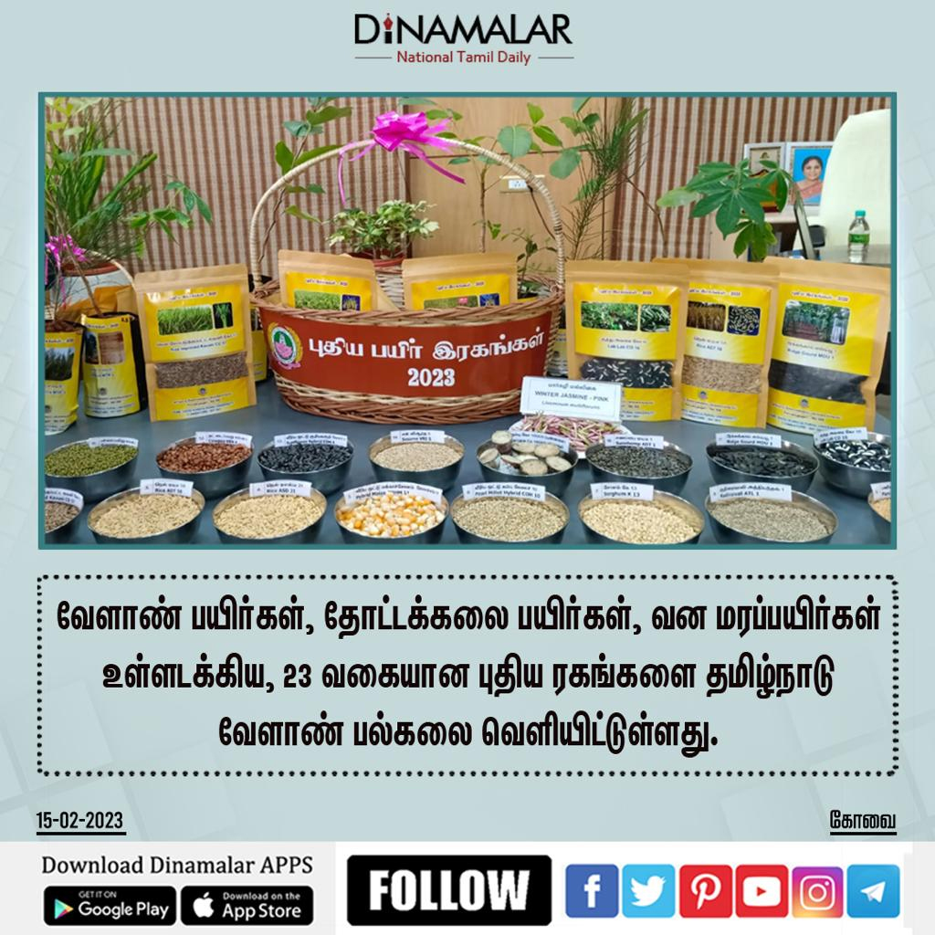 dinamalarweb's tweet image. வேளாண் பயிர்கள், தோட்டக்கலை பயிர்கள், வன மரப்பயிர்கள் உள்ளடக்கிய, 23 வகையான புதிய ரகங்களை தமிழ்நாடு வேளாண் பல்கலை வெளியிட்டுள்ளது. #dinamalar #TNAU #TNAUReleasedNewCropVarieties dinamalar.com