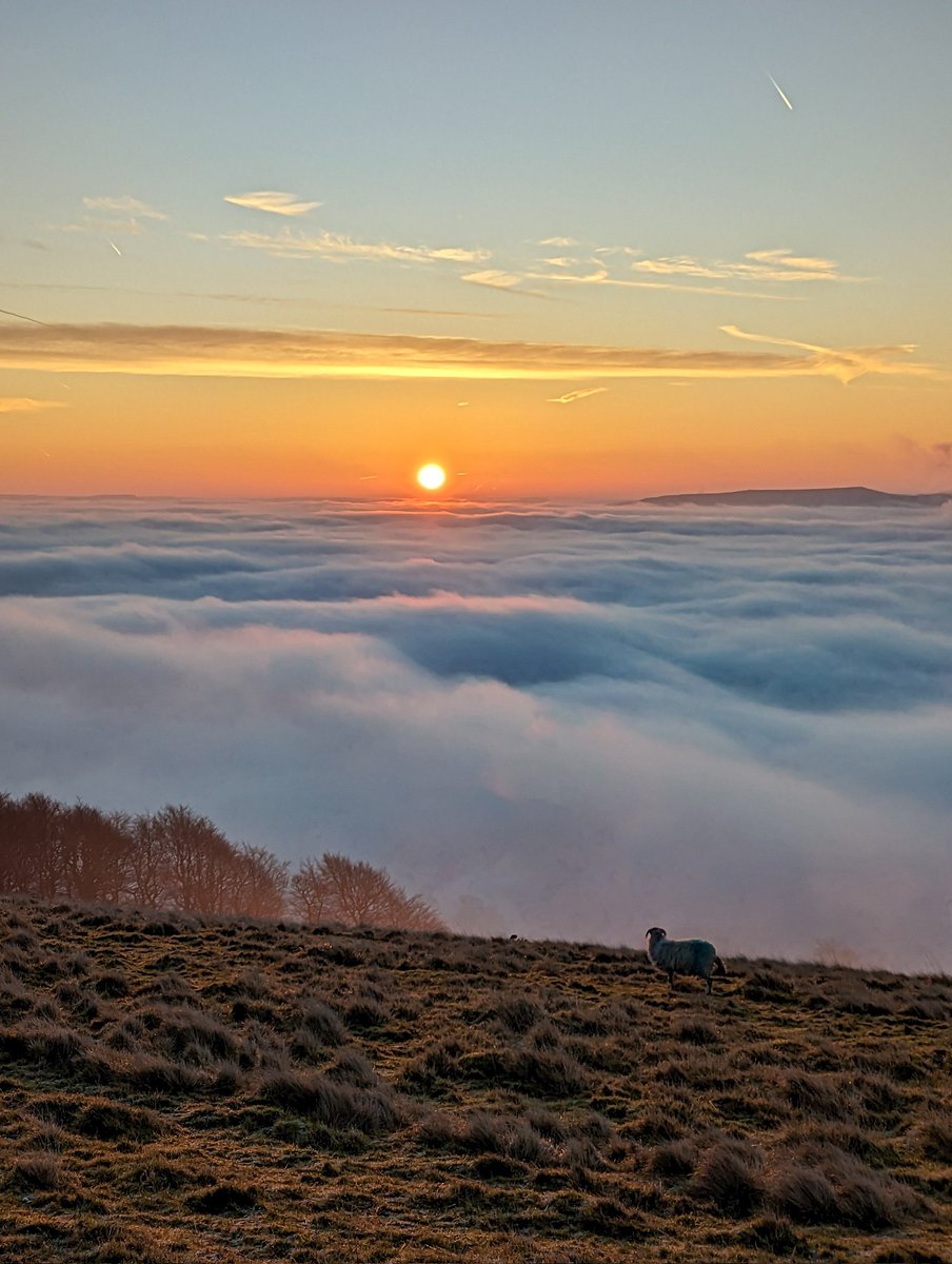 Walking at sunrise yesterday morning 🐑🌞

I think that being in nature can help and guide us to be present. Sometimes it's the visual beauty that brings us to this feeling of here and now. Other times it can be the need to keep warm and dry in the harsh elements.