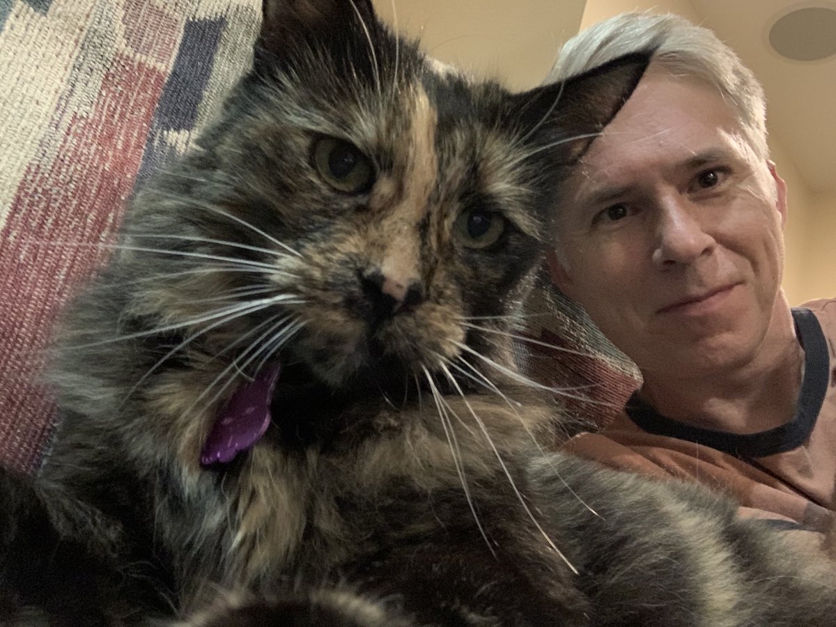 ScarPixel's tweet image. I love how this either makes me look tiny or Pippin enormous