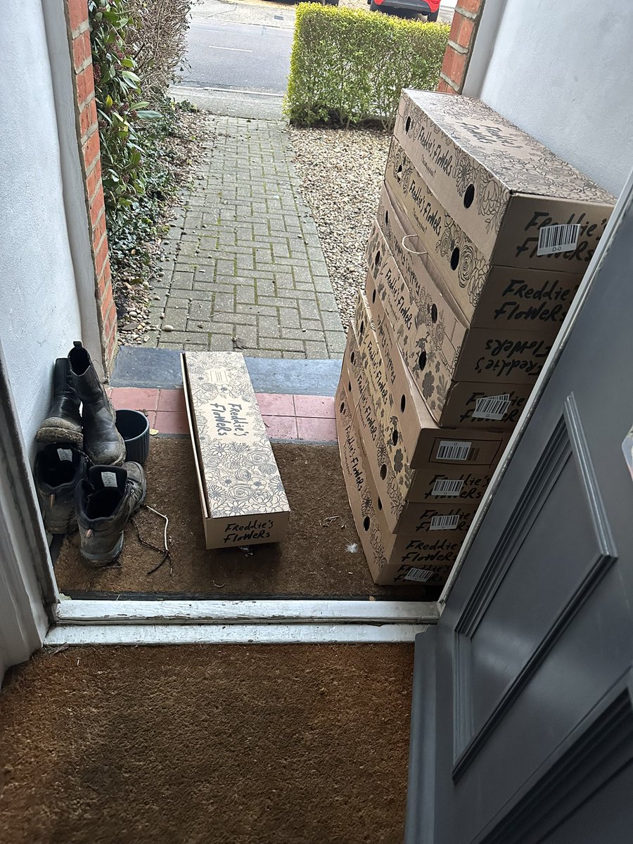 deanoharp's tweet photo. @FreddiesFlowers I know I’ve been storing them up, but any chance your delivery driver could come back and pick uk the empty boxes? Maybe they didn’t see them 😂 https://t.co/84cPvO5Iom