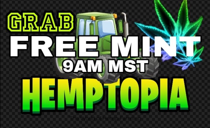 HemptopiaGame's tweet photo. 📢 CHILL&amp; SHILL TWITTER SPACE
Giving away our first $hemp-topian  #freemintNFT today at 9am mst! Grab your seats and headed NOW to our discord channel link 👇 ..
Hurry Now and Don't be Late!! Let's get WHITELISTED!! 
https://t.co/nTZvSP4zKn https://t.co/MJcfqY9Xmd