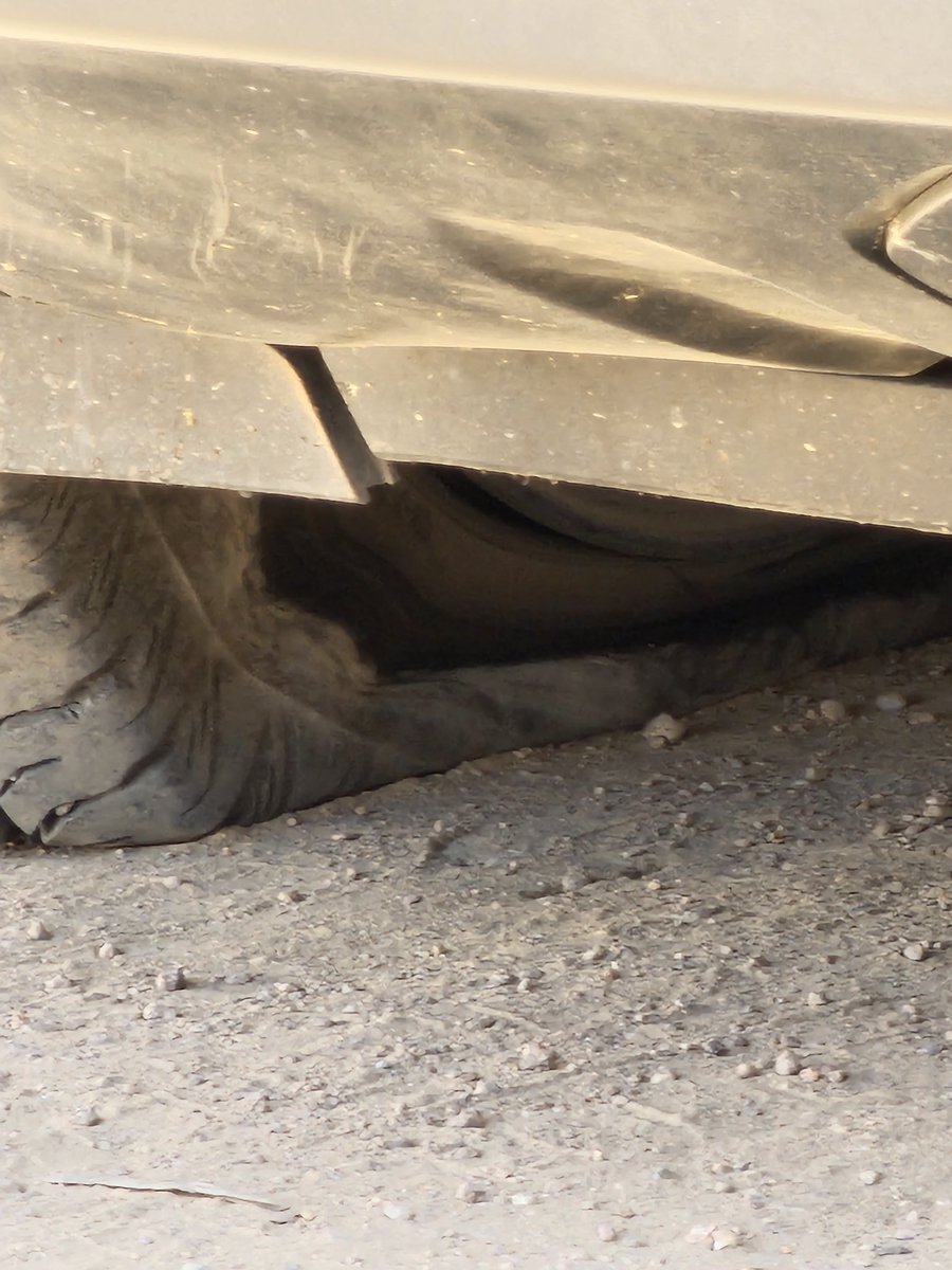 Deepuroyal99's tweet photo. I Raised Many Complaints but no one solved my issues now my tyre was flat...i was on road...hell the service with tata @RNTata2000 @TataCompanies @TataMotors @tatatrusts @TataSteelLtd 
97056 99999 
Bhel
Hyderabad https://t.co/HRIz1CSzGa