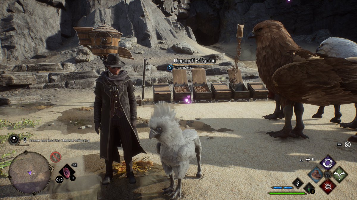 AntillesGaming's tweet photo. There is nothing I don't like about #HogwartsLegacy. Every second is just a great time, and every time I see my pets running and playing, it puts the biggest smile on my face. Some of my beasts just had babies, and they're so adorable. 😁🥰
#XboxSeriesX #XboxGameClub #gaming https://t.co/KRbKShRvng