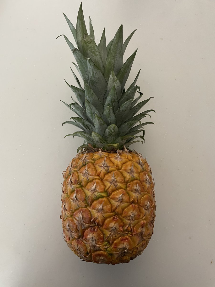 おかわりぱいなぽー！🍍
髪型が僕に似てるらしいです。

お店で1番甘い香りのテルペンを放ってたので回収しておきました。
