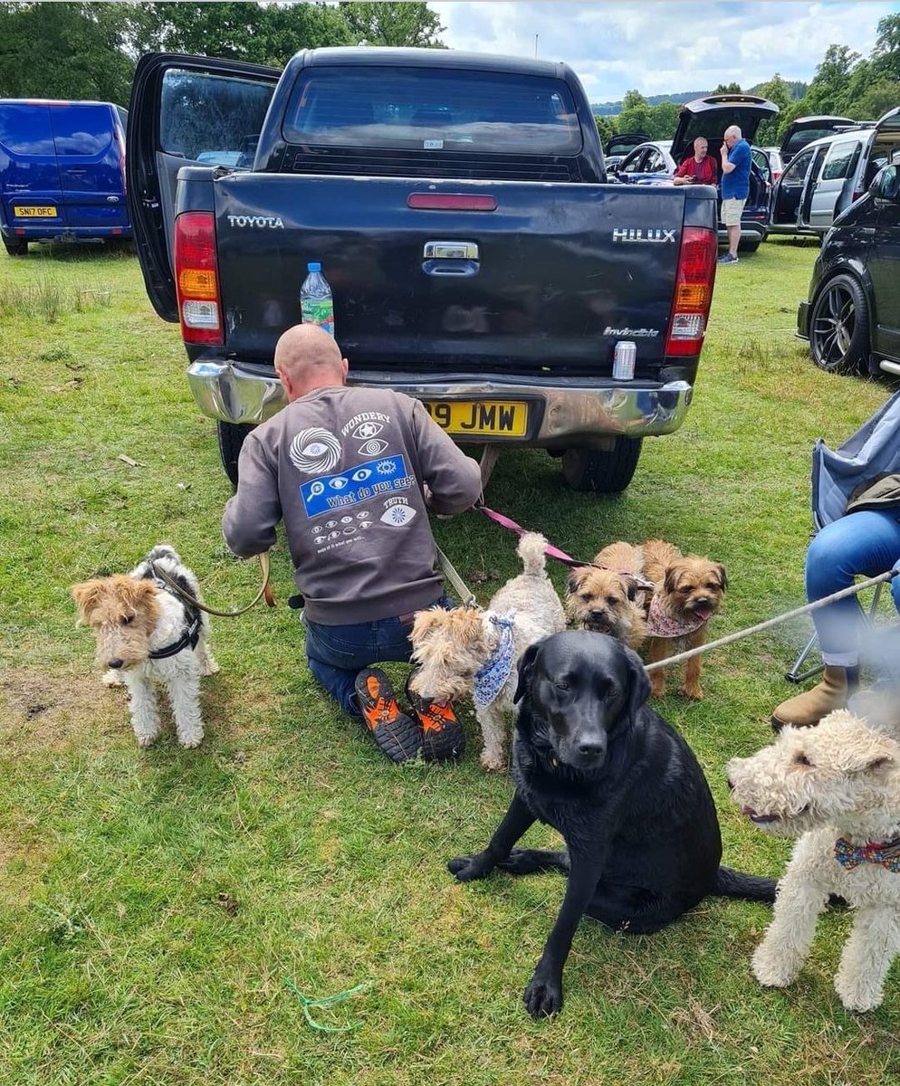 National Fox Terrier Meet tweet media