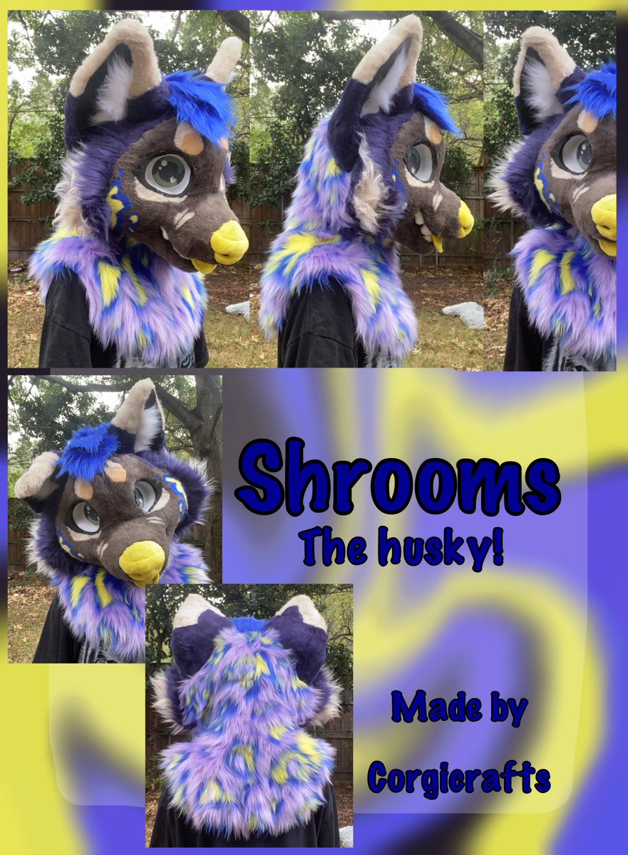 ⭐️corginoe⭐️ tweet media
