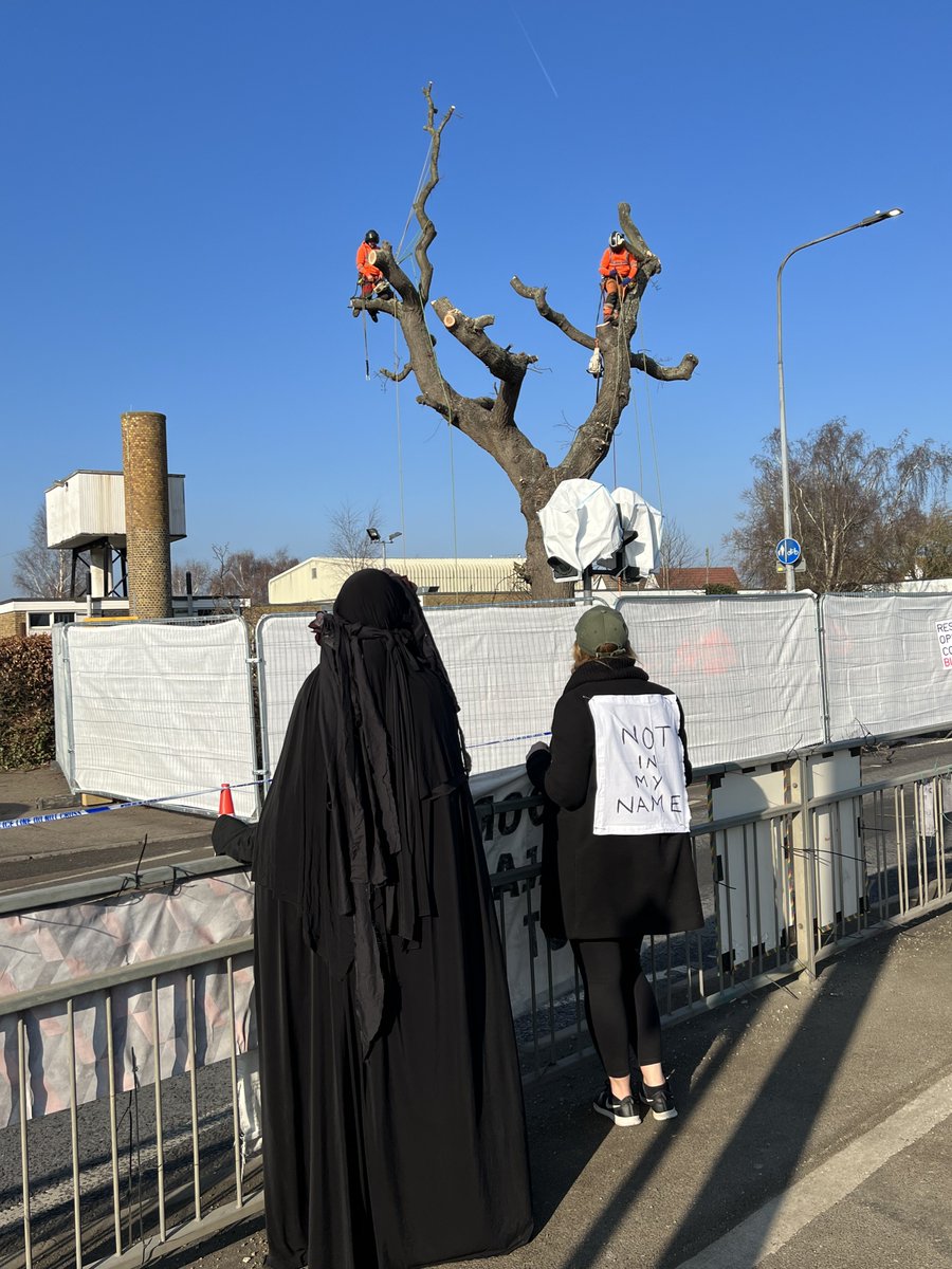 TiCLme's tweet photo. They come with fire, they come with axes… gnawing, biting, breaking, hacking, burning! Destroyers and usurpers, curse them!”
The Two Towers #EntQuotes #LOTR
#notinmyname @holt_farm_oak @keeper_of_books @Eternaltree1 @ryebankfields @nspugh @XR_BSE @xr_cambridge @Team4Nature https://t.co/u12s9VV5wY