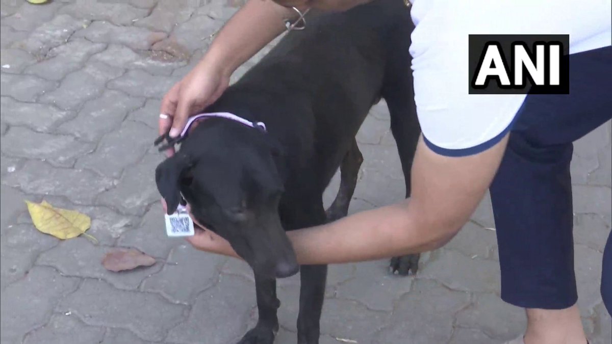 Maharashtra | Akshay Ridlan, an engineer and a dog lover from Mumbai, claims to …