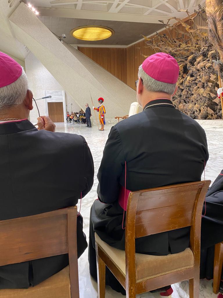 VATICAN GENERAL INFORMATIONS visual data 2