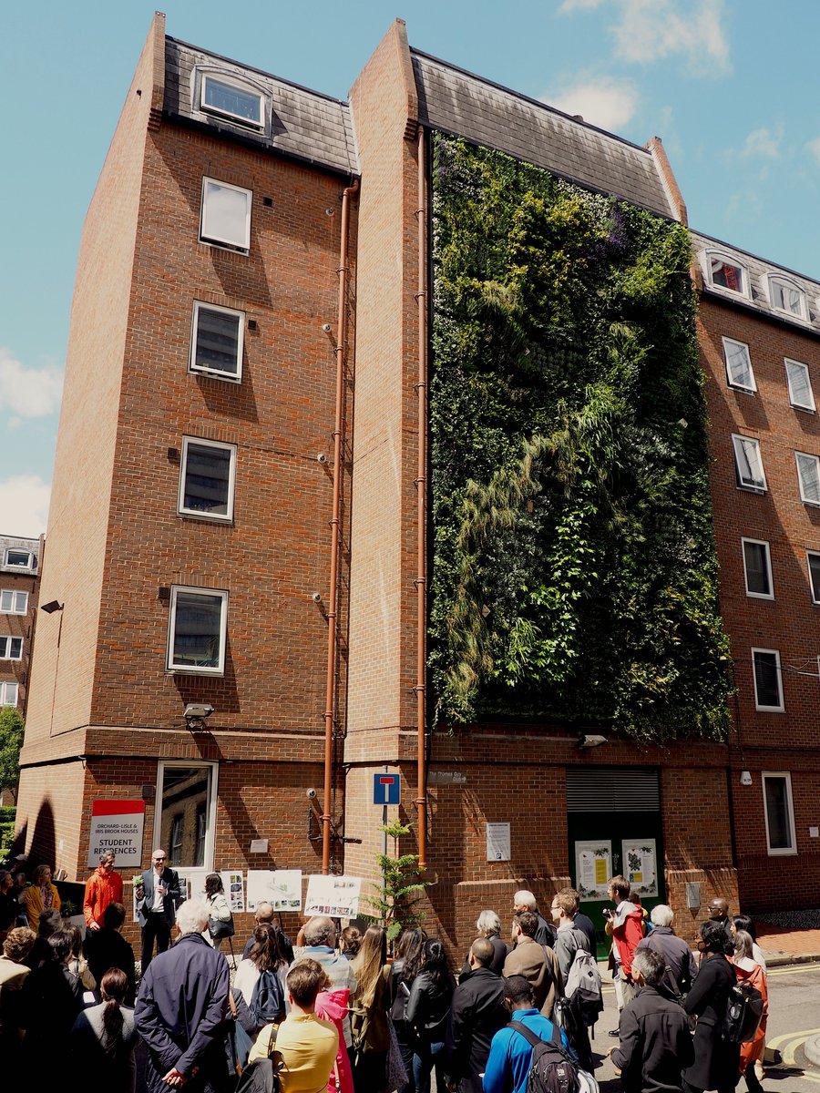 TeamLondonBdg's tweet photo. 🌿🌸 Today is #LivingWallDay, marking 130 years since the birth of its inventor, Stanley Hart White. In 2019 we transformed the Orchard Lisle Living Wall, carefully curating the planting to provide benefits for the community + wildlife with @ScotscapeWalls https://t.co/U1Qr4NmipL https://t.co/BF69mQ8jMs