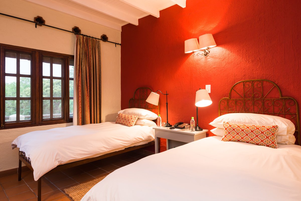 CasaDoSolHotel's tweet photo. Let us introduce you to one of the 17 gorgeous Casa Standard Rooms available at Casa do Sol, each room leads out onto the beautiful lush gardens and has their own private en-suite bathroom.

Head to our website for more information and to book https://t.co/7MA8oco2uZ https://t.co/VygT3JKzO1