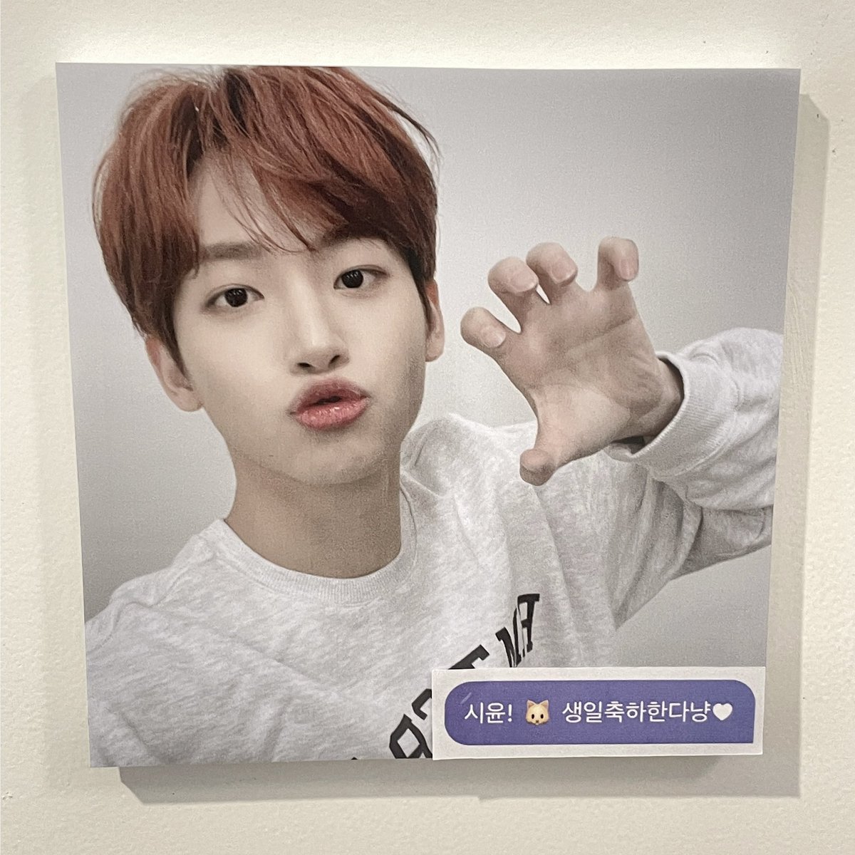 oingooingg's tweet photo. 시유니 카페에 놀러간 쩡모 - ‧₊˚(˘ᵕ˘)˚₊‧
생일축하해요 ! ! ♥ 

#오후_216pm
#어제보다_오늘_더_사랑해 https://t.co/XH76RVS0Te