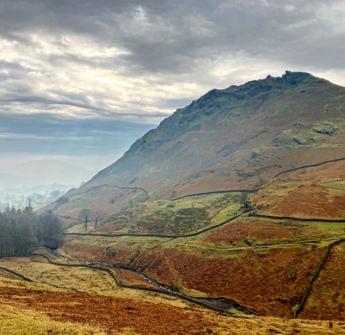 Lovely orange flanks of #HelmCrag 🧡 #LakeDistrict towering o’er #Grasmere #landscape #photo #mountain 🐑