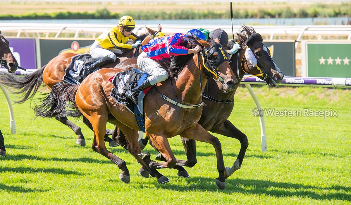 Western Racepix tweet media