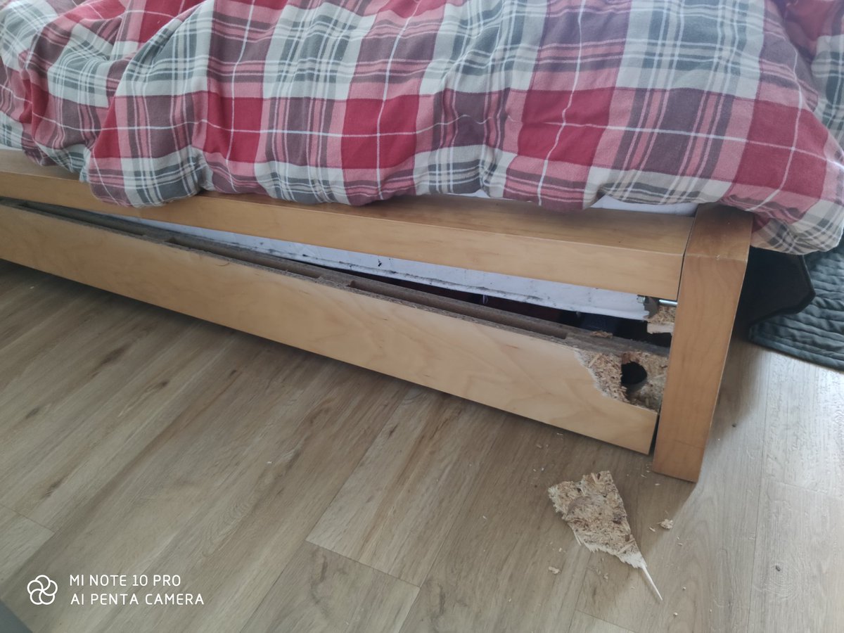 lodge_cat's tweet photo. #WednesdayHuh
Goodbye, #ikea malm bed frame. Thank you for serving some 20ish years, first to the SO and then to the both of us. https://t.co/ngCpQ5W1iM