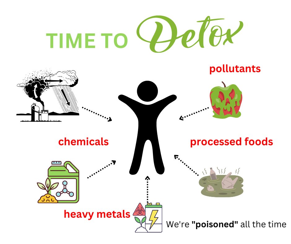 Spooky2Rife's tweet photo. We take in toxins from food, drink, or even the air we breathe, and our body naturally expels them. However, our bodies cannot discard these toxins fast enough due to too much pollution in the surrounding environment these days.

#spooky2 #frequency #detox #health #chemicals https://t.co/kwsESbtcdR