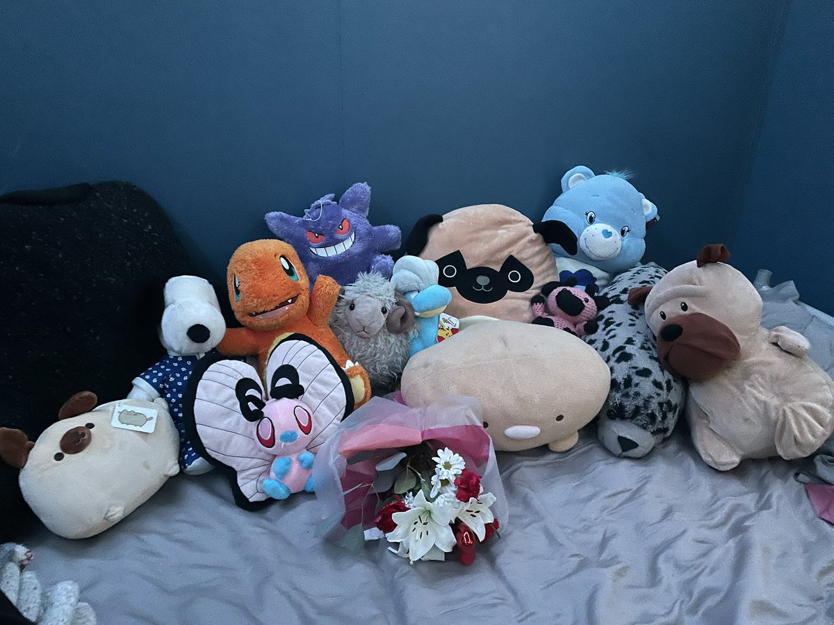 shinylaflon's tweet photo. Came home from work to all my plushies set up 🥹 a few are at my moms house so not a full family photo but I thought it was so sweet 🥲 (not shown are munchlax, oshawott, snorlax, teddiursa, kuromi + a lil dog) https://t.co/BgKg50W4f2