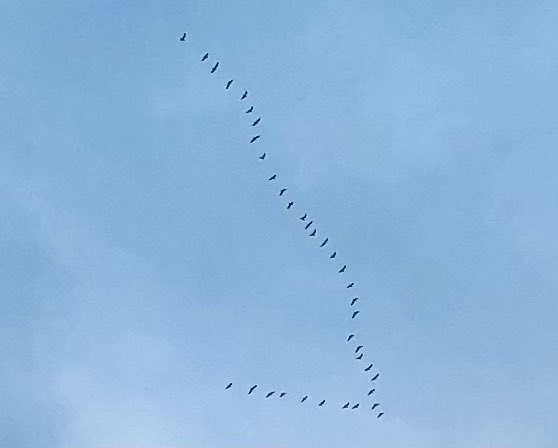 Hoy temprano he hecho esta foto desde mi casa... Veo en ella una alegoría de cómo conseguir la #Descarbonización Todos con el mismo objetivo y en la misma dirección, siguiendo a un líder responsable, unos más avanzados y otros menos... Aceptando que no hay otro camino a seguir 🔜