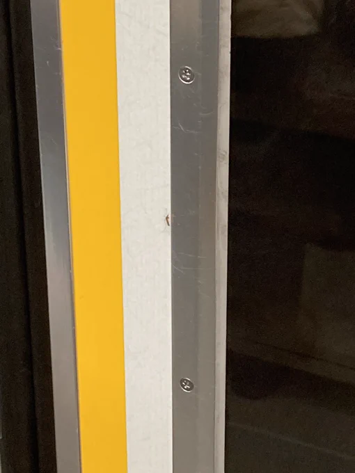 【グロ注意】電車に謎の虫がいた……蚊……? 