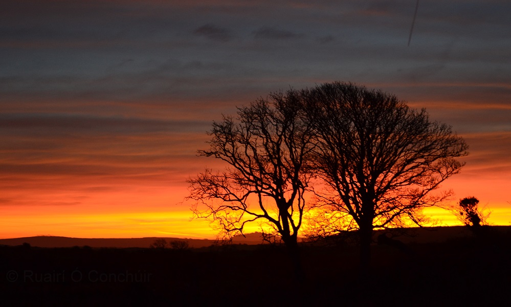 A Burren Sunrise (Feb 2023)

#photography #landscape #LandscapePhotography #Burren #Clare #Ireland @ThePhotohour @visitBurren