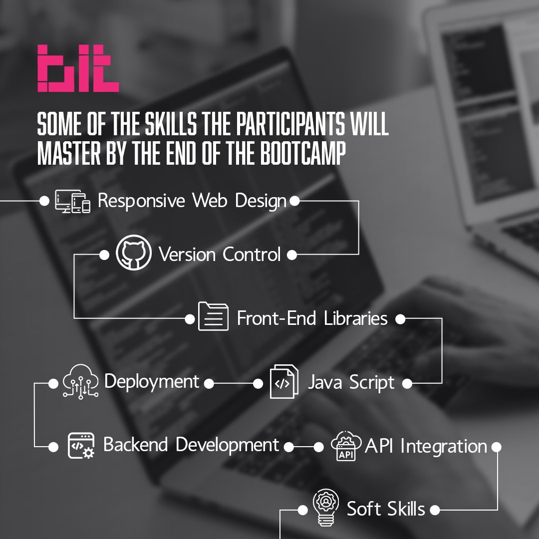 Bit Program tweet media