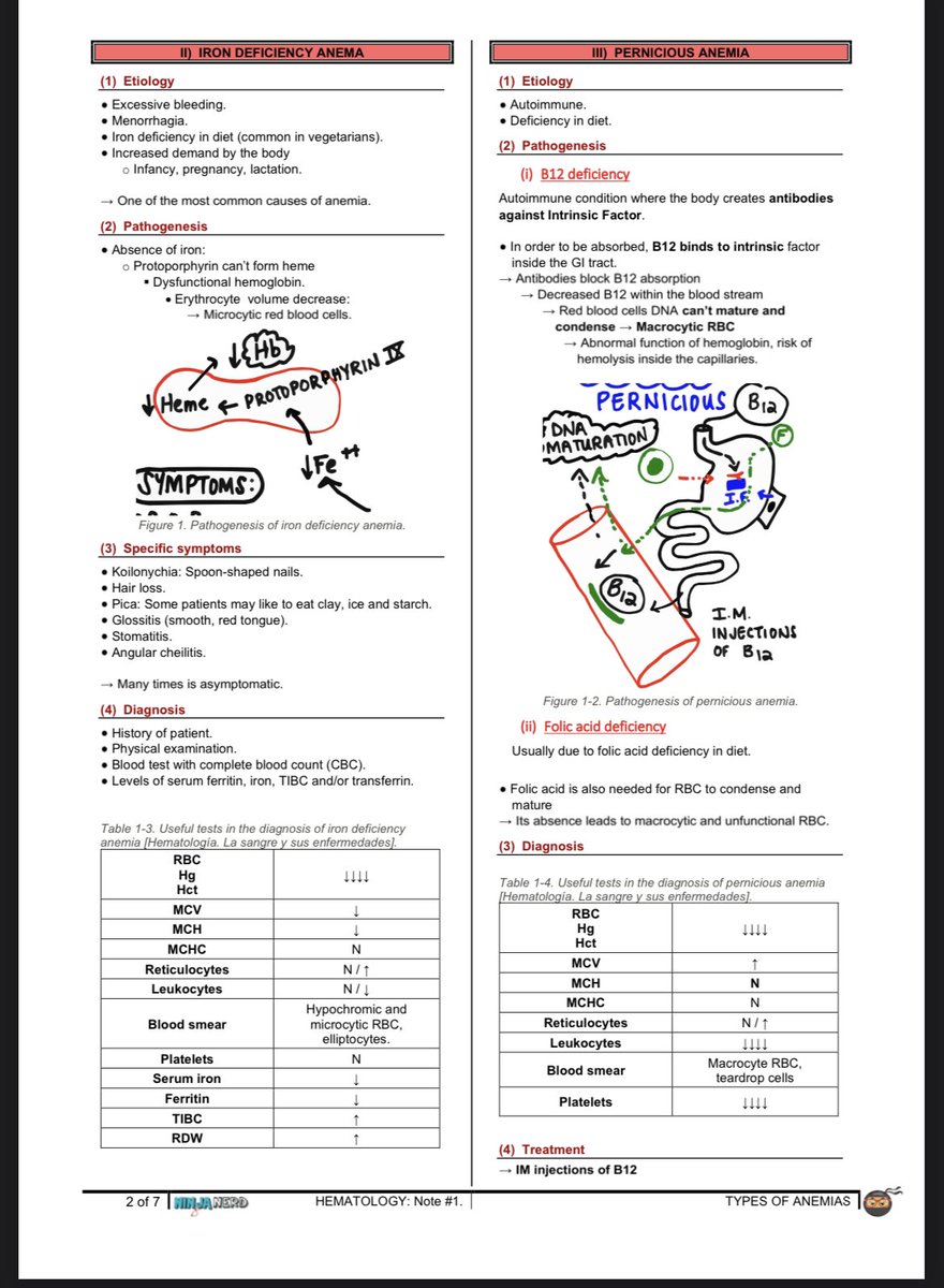 Muath_4r's tweet photo. 📍Types of anemia notes 
أنواع فقر الدم ملخصة بشكل رائع .
 
رابط الصور بشكل واضح :

https://t.co/cwHcXNQdIM https://t.co/aKIjssAeEW