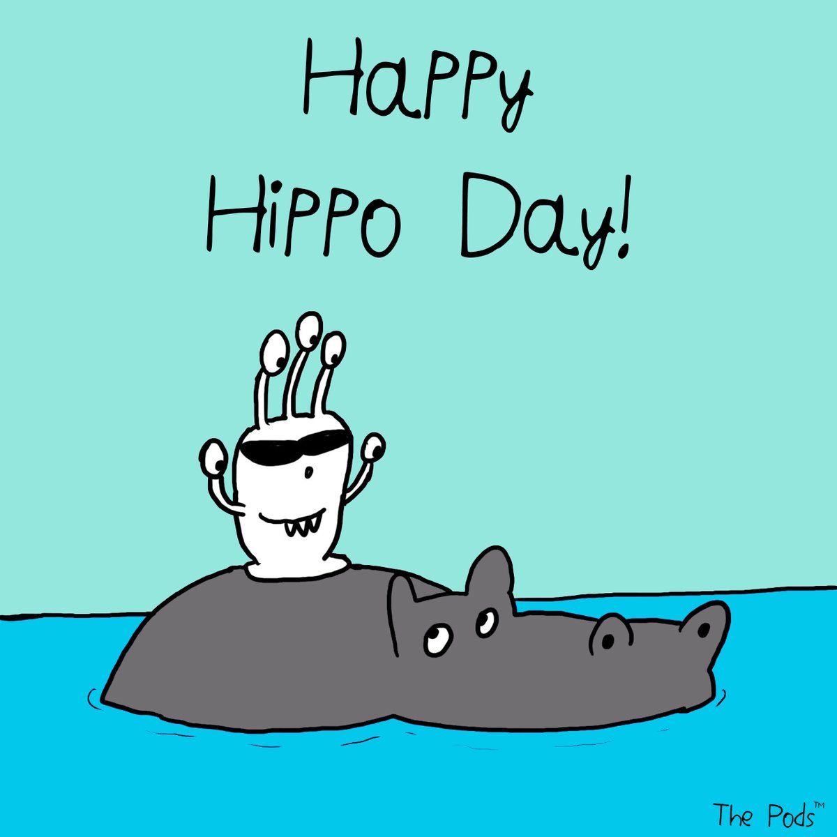 MeetThePods's tweet photo. Did you know that hippos are great swimmers and can hold their breath for up to five minutes underwater. When completely submerged, their ears &amp; nostrils fold shut to keep water out!
#hippoday #hippo #hippopotamus #wildlife #wwf #funfact #didyouknow #meetthepods #thepods #eyepod https://t.co/C7jL0buJGn