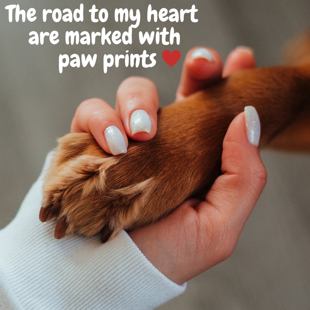 FUNNYFUZZY tweet media