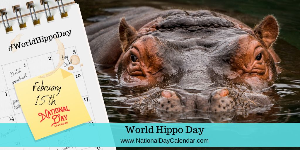 #hippopotamus #hippo #wildlife #hippos #animals #hipposofinstagram #nature #wildlifephotography #africa #safari #zoo #hippopotame #animal #photography #cute #naturephotography #hippolove #hippolifestyle #love #art #ippopotamo #plushies #nilpferd #plushielife #hippoplush