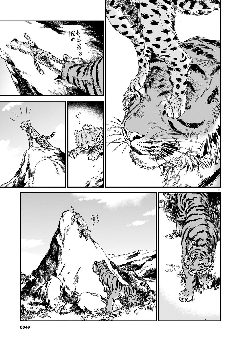 「虎は龍をまだ喰べない。」
発売中のハルタ101号にて第十九話掲載されております!
所変わってもう二匹のお話。
よろしくお願いします!
#まだ喰べ 